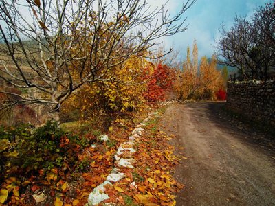 طالقان-روستای-قاضی-کلایه-191056