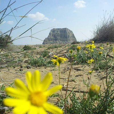 اتاق های ساسانی