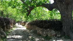 روستای دهمورد