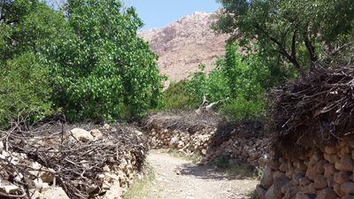 آباده-طشک-روستای-دهمورد-191744