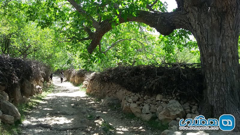 روستای دهمورد