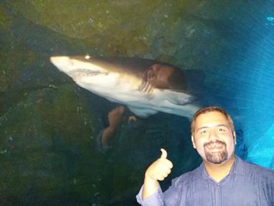 دبی-آکواریوم-دبی-Dubai-Aquarium-Underwater-Zoo-191906