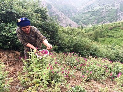 رحیم-آباد-روستای-درسنک-192591