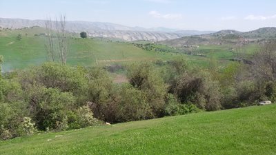 بدره-روستای-کلم-192943