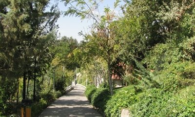 تهران-بوستان-بهشت-مادران-تهران-193578