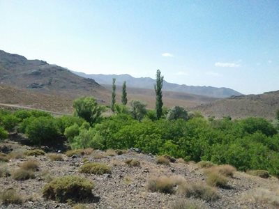 اردستان-روستای-نیسیان-194177