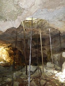 زنگبار-غارهای-کیونگوا-Kiwengwa-Caves-194797