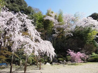 کیوتو-مجسمه-Ryozen-Kannon-195055
