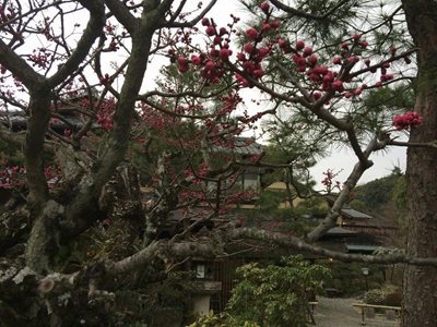 کیوتو-کافه-Inoda-Coffee-Kiyomizu-195175