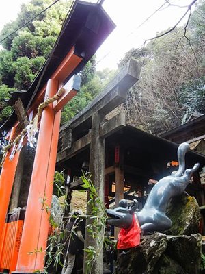 کیوتو-معبد-فوشیمی-ایناری-Fushimi-Inari-taisha-Shrine-195210