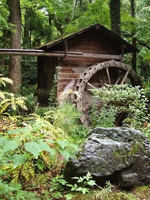 باغ گیاه شناسی کیوتو Kyoto Botanical Garden