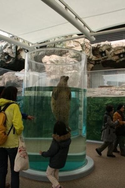 آکواریوم کیوتو Kyoto Aquarium