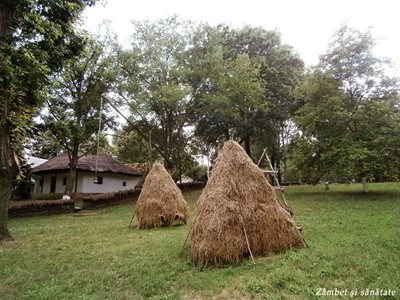 بخارست-موزه-روستایی-Muzeul-Satului-195733