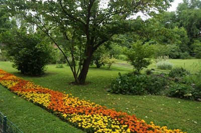 بخارست-باغ-گیاه-شناسی-The-Botanical-Garden-195886