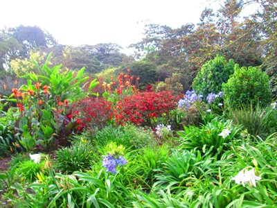 بوگوتا-باغ-گیاه-شناسی-خوزه-سلستینو-موتیس-Jardin-Botanico-Jose-Celestino-Mutis-195965