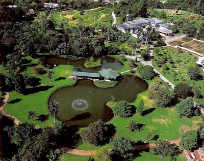 بوگوتا-باغ-گیاه-شناسی-خوزه-سلستینو-موتیس-Jardin-Botanico-Jose-Celestino-Mutis-195957