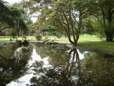 بوگوتا-باغ-گیاه-شناسی-خوزه-سلستینو-موتیس-Jardin-Botanico-Jose-Celestino-Mutis-195969