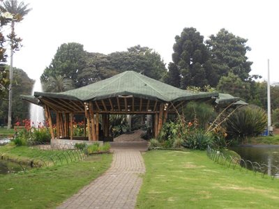 بوگوتا-باغ-گیاه-شناسی-خوزه-سلستینو-موتیس-Jardin-Botanico-Jose-Celestino-Mutis-195968