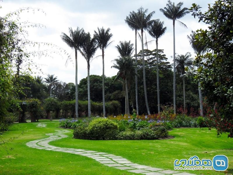 باغ گیاه شناسی خوزه سلستینو موتیس Jardin Botanico Jose Celestino Mutis