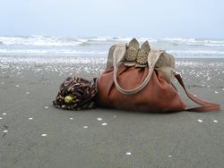 ساحل کاسپین انزلی
