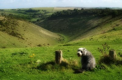 دره شیطان Devil's Dyke