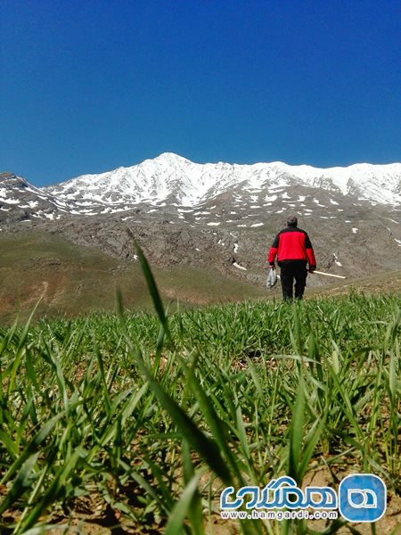 روستای سورانه