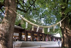 معبد میجی جینگو Meiji Jingu