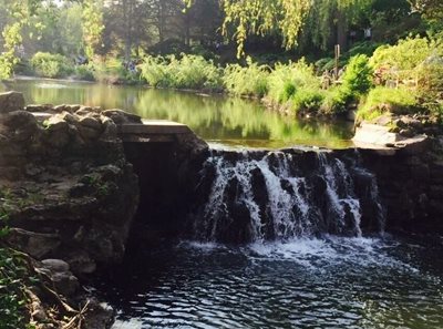 تورنتو-باغ-ادوارد-Edwards-Gardens-201395