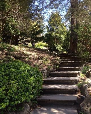 تورنتو-باغ-ادوارد-Edwards-Gardens-201399