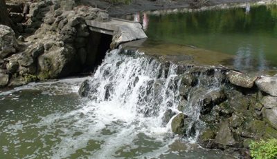 تورنتو-باغ-ادوارد-Edwards-Gardens-201393