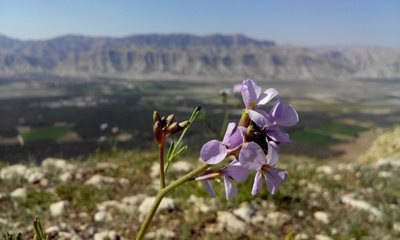 بوشکان-روستای-تنگ-زرد-201895