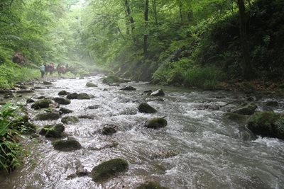 شیرین رود