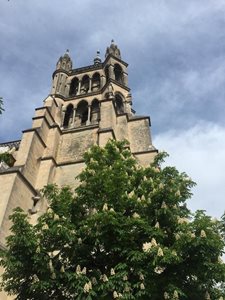 لوزان-کلیسا-جامع-لوزان-Cathedrale-de-Lausanne-206486