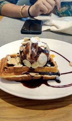 دهلی-نو-رستوران-تامرا-Tamra-Restaurant-207040