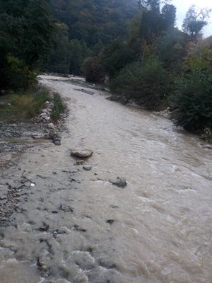چالوس-هتل-رستوران-ساسان-207957