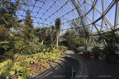 دوسلدورف-باغ-گیاه-شناسی-Botanical-Garden-209483