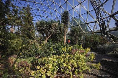 دوسلدورف-باغ-گیاه-شناسی-Botanical-Garden-209484