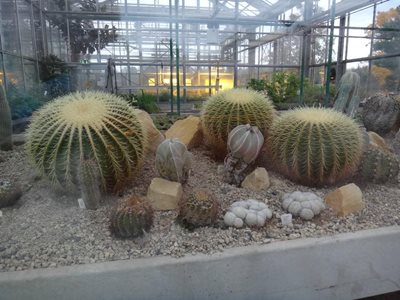 دوسلدورف-باغ-گیاه-شناسی-Botanical-Garden-209496