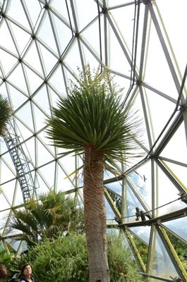 دوسلدورف-باغ-گیاه-شناسی-Botanical-Garden-209494