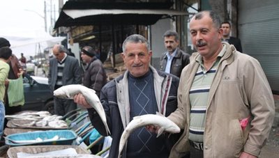 کیاشهر-بازار-ماهی-فروشان-209941