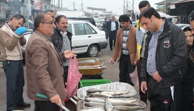 کیاشهر-بازار-ماهی-فروشان-209938