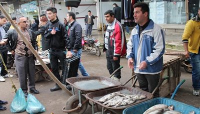 کیاشهر-بازار-ماهی-فروشان-209936