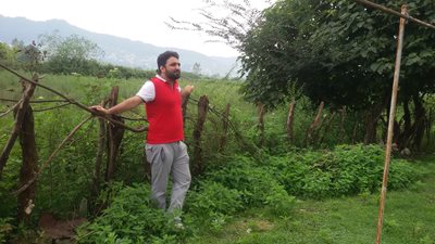 شیرگاه-روستای-چالی-210099