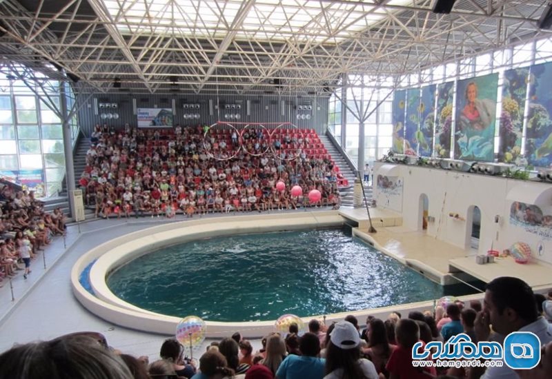 دلفیناریوم Dolphinarium