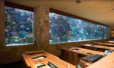 لاس-وگاس-هتل-The-Mirage-Hotel-Casino-211336
