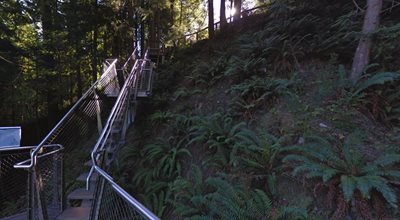 ونکوور-پل-معلق-Capilano-Suspension-Bridge-213982