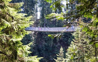 ونکوور-پل-معلق-Capilano-Suspension-Bridge-213984