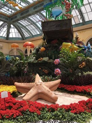 باغ گیاه شناسی هت بلاژیو Conservatory & Botanical Gardens at Bellagio