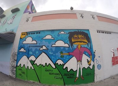 میامی-منطقه-هنر-خیابانی-وینمود-Wynwood-Walls-214640