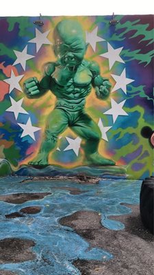 میامی-منطقه-هنر-خیابانی-وینمود-Wynwood-Walls-214650